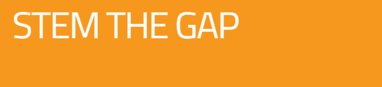 Progetto STEM the Gap Progetto STEM the Gap