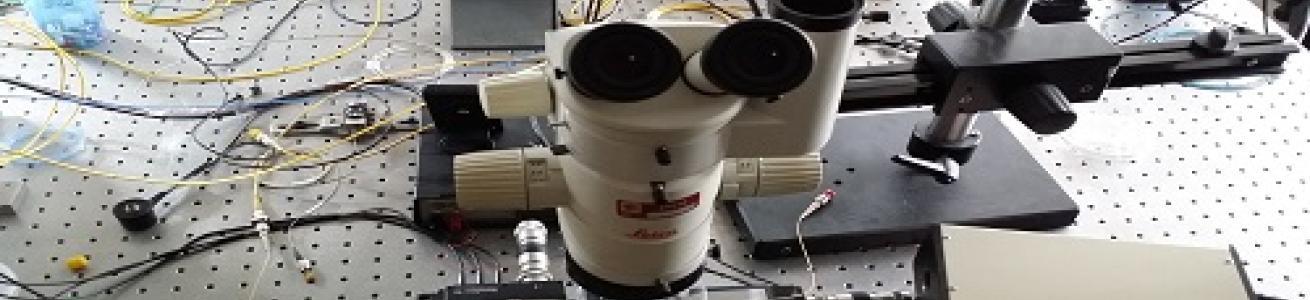 Lab